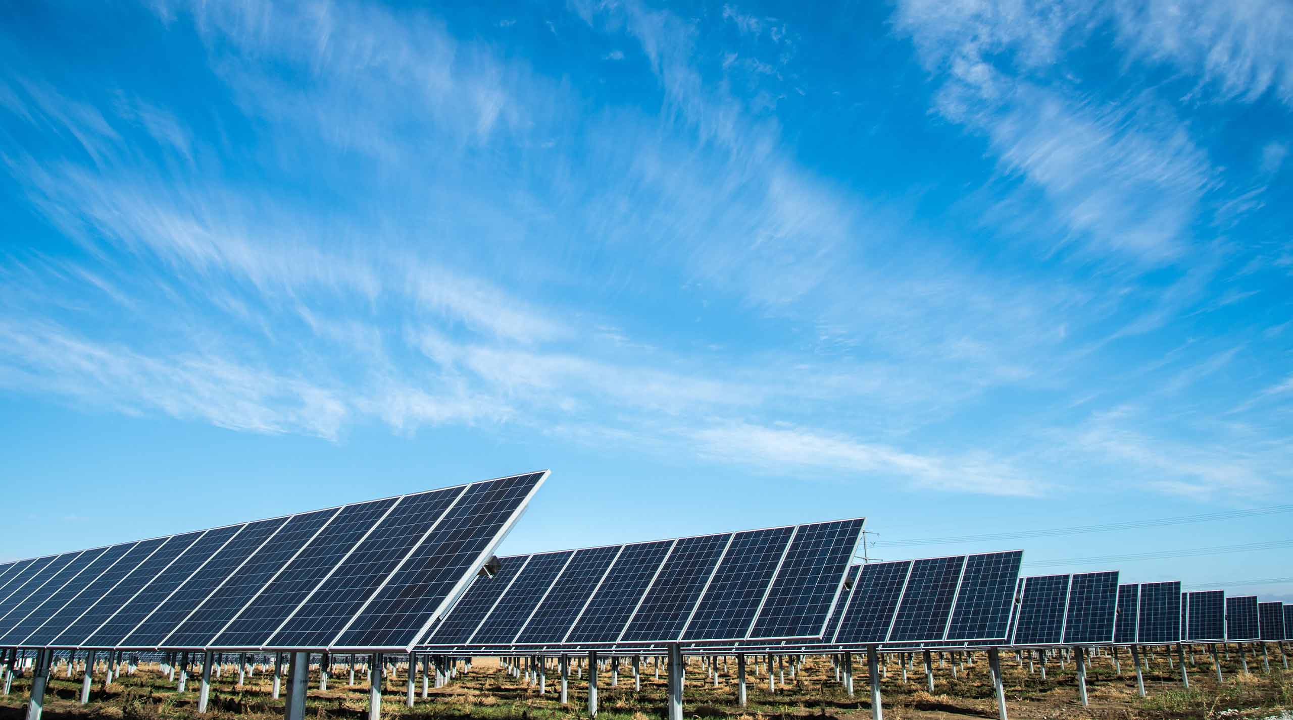 Large Solar Panel Installation