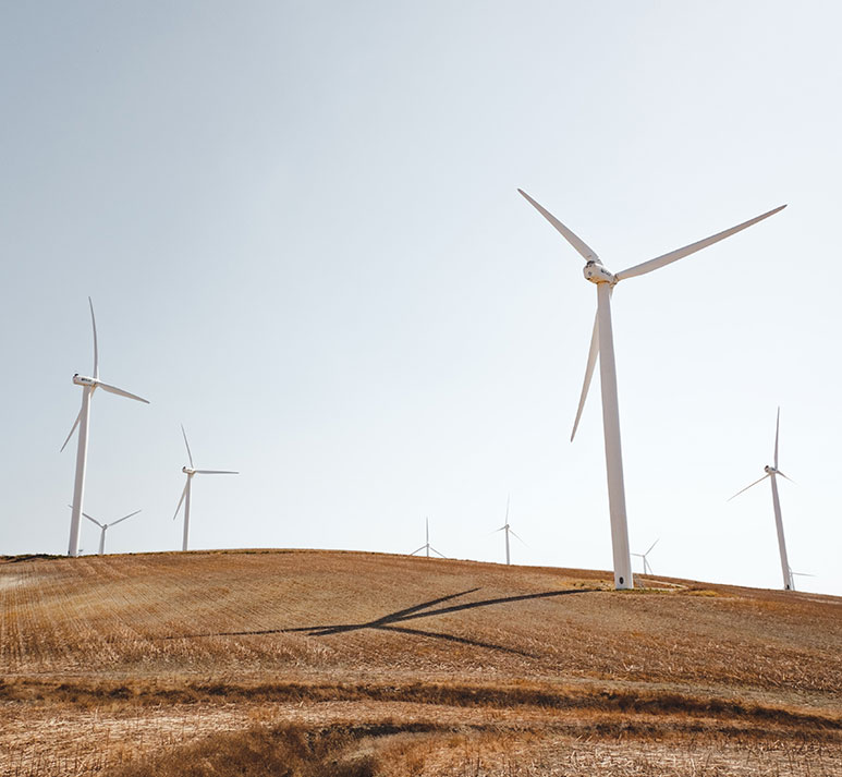 Field of Wind Turbines Field of Wind Turbines